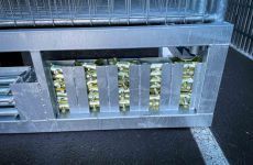 Combipallet | Event | Mobi | Close-up Klemmen